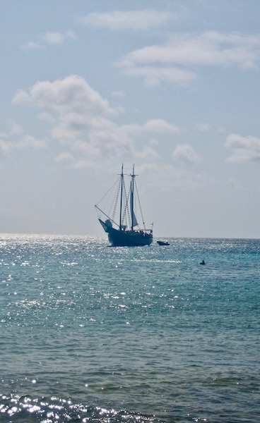 Malmok Beach Aruba